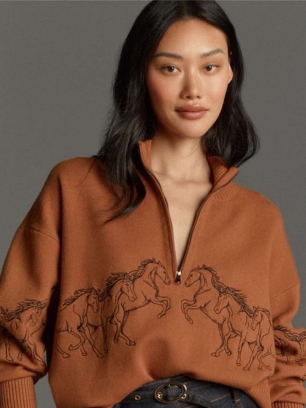 Anthropologie- Maeve brand Horse-Print Half-Zip Sweater Top